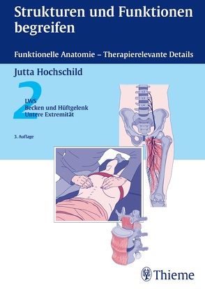 Strukturen und Funktionen begreifen – Funktionelle Anatomie von Jutta Hochschild, 