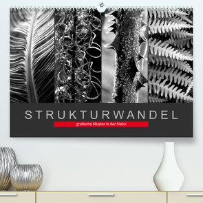 Strukturwandel, grafische Muster in der Natur (Premium, hochwertiger DIN A2 Wandkalender 2023, Kunstdruck in Hochglanz) von Fotokullt