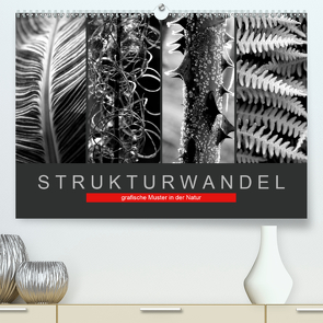 Strukturwandel, grafische Muster in der Natur (Premium, hochwertiger DIN A2 Wandkalender 2020, Kunstdruck in Hochglanz) von Fotokullt