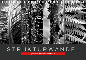 Strukturwandel, grafische Muster in der Natur (Tischkalender 2019 DIN A5 quer) von Fotokullt