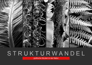 Strukturwandel, grafische Muster in der Natur (Wandkalender 2019 DIN A3 quer) von Fotokullt