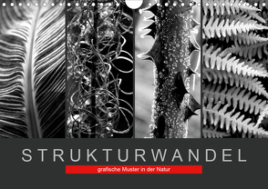 Strukturwandel, grafische Muster in der Natur (Wandkalender 2020 DIN A4 quer) von Fotokullt