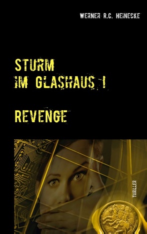 Sturm im Glashaus von Heinecke,  Werner R. C.