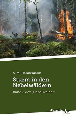 Sturm in den Nebelwäldern von Hannemann,  A. M.
