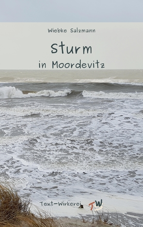 Sturm in Moordevitz von Salzmann,  Wiebke, Schlatter,  Yvonne