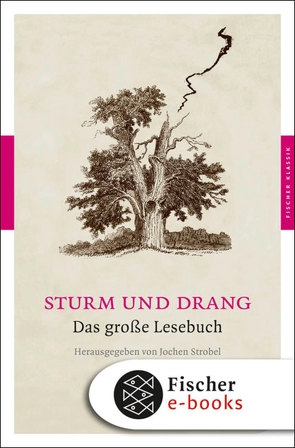 Sturm und Drang von Strobel,  Jochen