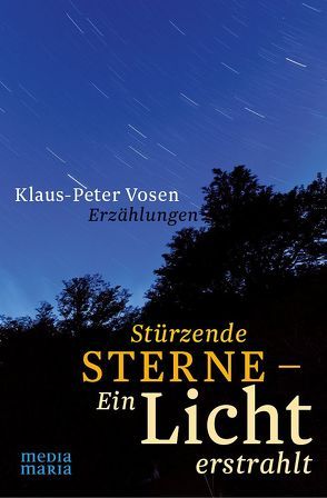 Stürzende Sterne – Ein Licht erstrahlt von Vosen,  Klaus-Peter