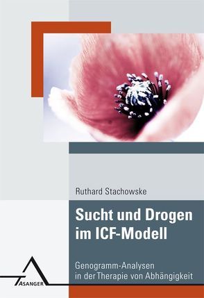 Sucht und Drogen im ICF-Modell von Stachowske,  Ruthard