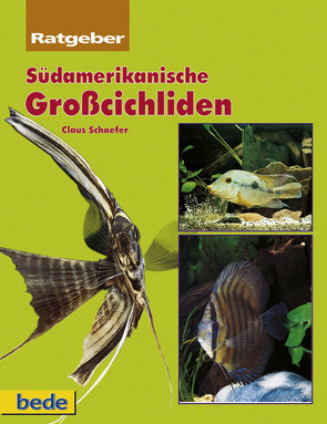 Südamerikanische Grosscichliden von Schaefer,  Claus