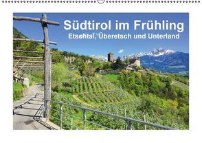 Südtirol im Frühling. Etschtal, Überetsch und Unterland. (Wandkalender immerwährend DIN A2 quer) von Scheffbuch,  Gisela
