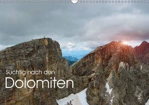 Süchtig nach den Dolomiten (Wandkalender 2019 DIN A3 quer) von Niederkofler,  Georg