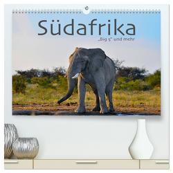 Südafrika – Big 5 und mehr (hochwertiger Premium Wandkalender 2024 DIN A2 quer), Kunstdruck in Hochglanz von Styppa,  Robert