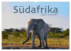 Südafrika – Big 5 und mehr (Wandkalender 2024 DIN A2 quer), CALVENDO Monatskalender von Styppa,  Robert