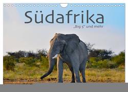 Südafrika – Big 5 und mehr (Wandkalender 2024 DIN A4 quer), CALVENDO Monatskalender von Styppa,  Robert