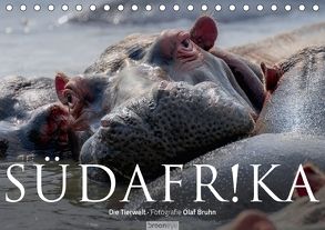 Südafrika – Die Tierwelt (Tischkalender 2018 DIN A5 quer) von Bruhn,  Olaf