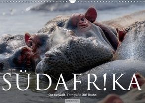 Südafrika – Die Tierwelt (Wandkalender 2018 DIN A3 quer) von Bruhn,  Olaf