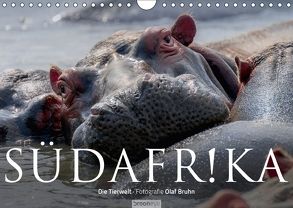 Südafrika – Die Tierwelt (Wandkalender 2018 DIN A4 quer) von Bruhn,  Olaf