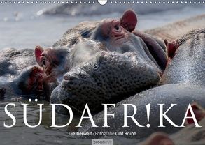 Südafrika – Die Tierwelt (Wandkalender 2019 DIN A3 quer) von Bruhn,  Olaf