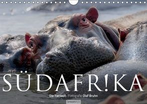 Südafrika – Die Tierwelt (Wandkalender 2019 DIN A4 quer) von Bruhn,  Olaf