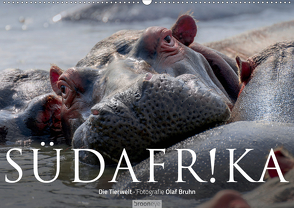 Südafrika – Die Tierwelt (Wandkalender 2020 DIN A2 quer) von Bruhn,  Olaf