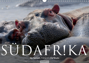 Südafrika – Die Tierwelt (Wandkalender 2020 DIN A3 quer) von Bruhn,  Olaf