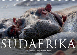 Südafrika – Die Tierwelt (Wandkalender 2022 DIN A2 quer) von Bruhn,  Olaf