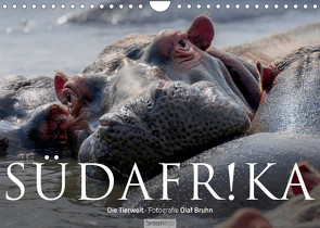 Südafrika – Die Tierwelt (Wandkalender 2022 DIN A4 quer) von Bruhn,  Olaf