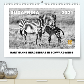 SÜDAFRIKA Hartmanns Bergzebras in schwarz-weiss (Premium, hochwertiger DIN A2 Wandkalender 2021, Kunstdruck in Hochglanz) von Thula