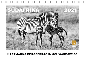 SÜDAFRIKA Hartmanns Bergzebras in schwarz-weiss (Tischkalender 2021 DIN A5 quer) von Thula