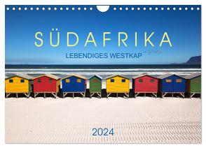 Südafrika – Lebendiges Westkap (Wandkalender 2024 DIN A4 quer), CALVENDO Monatskalender von Stützle,  Michael