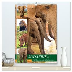 SÜDAFRIKA Wild-Tiere im Addo Elephant Park (hochwertiger Premium Wandkalender 2024 DIN A2 hoch), Kunstdruck in Hochglanz von Fraatz,  Barbara
