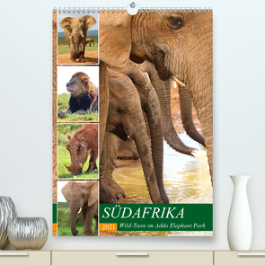 SÜDAFRIKA Wild-Tiere im Addo Elephant Park (Premium, hochwertiger DIN A2 Wandkalender 2021, Kunstdruck in Hochglanz) von Fraatz,  Barbara