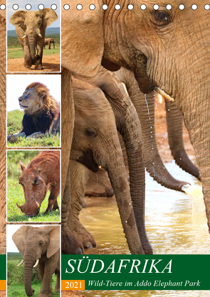 SÜDAFRIKA Wild-Tiere im Addo Elephant Park (Tischkalender 2021 DIN A5 hoch) von Fraatz,  Barbara