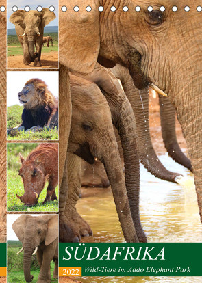 SÜDAFRIKA Wild-Tiere im Addo Elephant Park (Tischkalender 2022 DIN A5 hoch) von Fraatz,  Barbara
