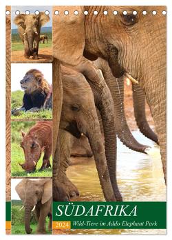 SÜDAFRIKA Wild-Tiere im Addo Elephant Park (Tischkalender 2024 DIN A5 hoch), CALVENDO Monatskalender von Fraatz,  Barbara