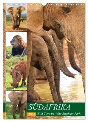 SÜDAFRIKA Wild-Tiere im Addo Elephant Park (Wandkalender 2024 DIN A3 hoch), CALVENDO Monatskalender von Fraatz,  Barbara