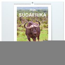 SÜDAFRIKA – WILDTIERE IM PORTRAIT (hochwertiger Premium Wandkalender 2024 DIN A2 hoch), Kunstdruck in Hochglanz von Fraatz,  Barbara