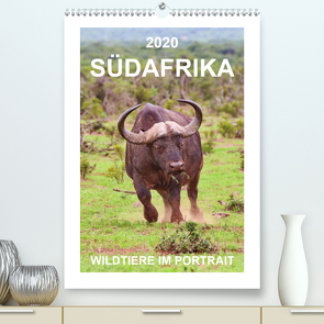 SÜDAFRIKA – WILDTIERE IM PORTRAIT (Premium, hochwertiger DIN A2 Wandkalender 2020, Kunstdruck in Hochglanz) von Fraatz,  Barbara
