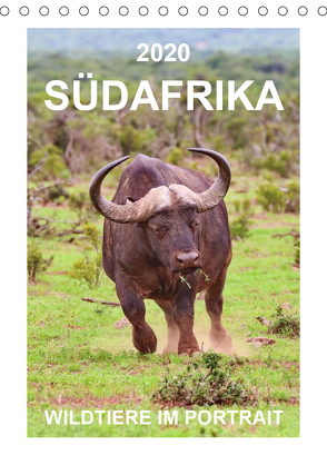 SÜDAFRIKA – WILDTIERE IM PORTRAIT (Tischkalender 2020 DIN A5 hoch) von Fraatz,  Barbara