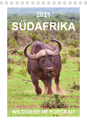 SÜDAFRIKA – WILDTIERE IM PORTRAIT (Tischkalender 2021 DIN A5 hoch) von Fraatz,  Barbara