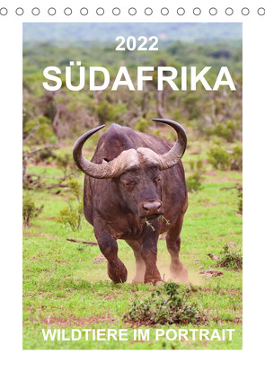 SÜDAFRIKA – WILDTIERE IM PORTRAIT (Tischkalender 2022 DIN A5 hoch) von Fraatz,  Barbara