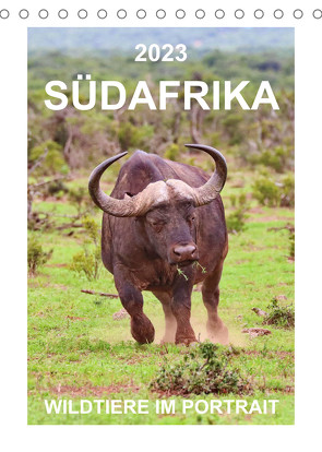 SÜDAFRIKA – WILDTIERE IM PORTRAIT (Tischkalender 2023 DIN A5 hoch) von Fraatz,  Barbara