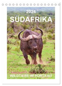 SÜDAFRIKA – WILDTIERE IM PORTRAIT (Tischkalender 2024 DIN A5 hoch), CALVENDO Monatskalender von Fraatz,  Barbara