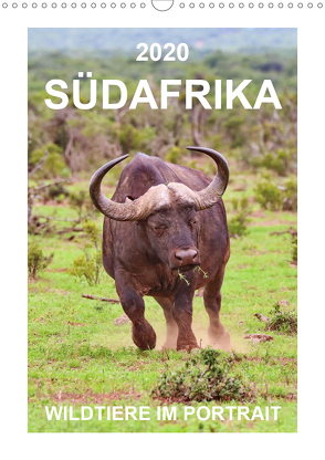 SÜDAFRIKA – WILDTIERE IM PORTRAIT (Wandkalender 2020 DIN A3 hoch) von Fraatz,  Barbara