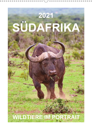 SÜDAFRIKA – WILDTIERE IM PORTRAIT (Wandkalender 2021 DIN A2 hoch) von Fraatz,  Barbara