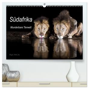 Südafrika wunderbare Tierwelt (hochwertiger Premium Wandkalender 2024 DIN A2 quer), Kunstdruck in Hochglanz von Junio,  Michele