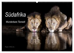 Südafrika wunderbare Tierwelt (Wandkalender 2024 DIN A2 quer), CALVENDO Monatskalender von Junio,  Michele
