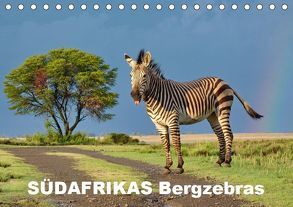 SÜDAFRIKAS Bergzebras (Tischkalender 2019 DIN A5 quer) von Thula