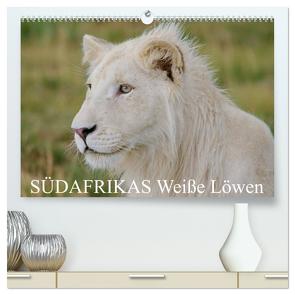 SÜDAFRIKAS Weiße Löwen (hochwertiger Premium Wandkalender 2024 DIN A2 quer), Kunstdruck in Hochglanz von Thula,  Thula