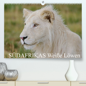 SÜDAFRIKAS Weiße Löwen (Premium, hochwertiger DIN A2 Wandkalender 2022, Kunstdruck in Hochglanz) von Thula